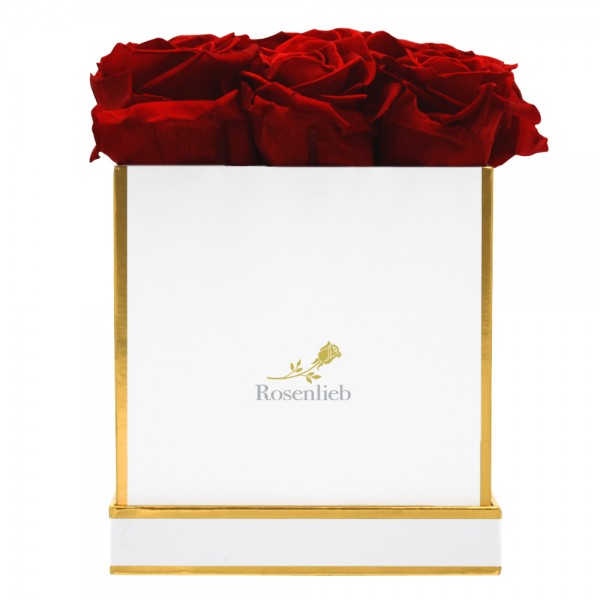 Square Bene - 6 Infinity Roses